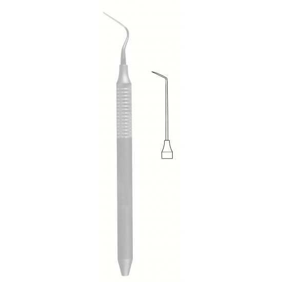FS-56-1555
