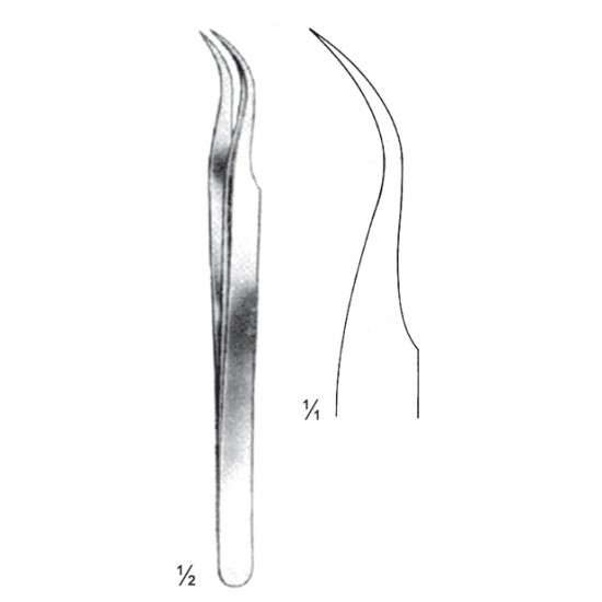 FS- 08-2146-11
