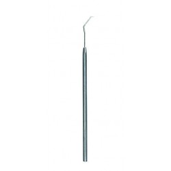 Probe 